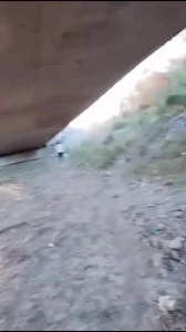 农村老大姐桥底操逼